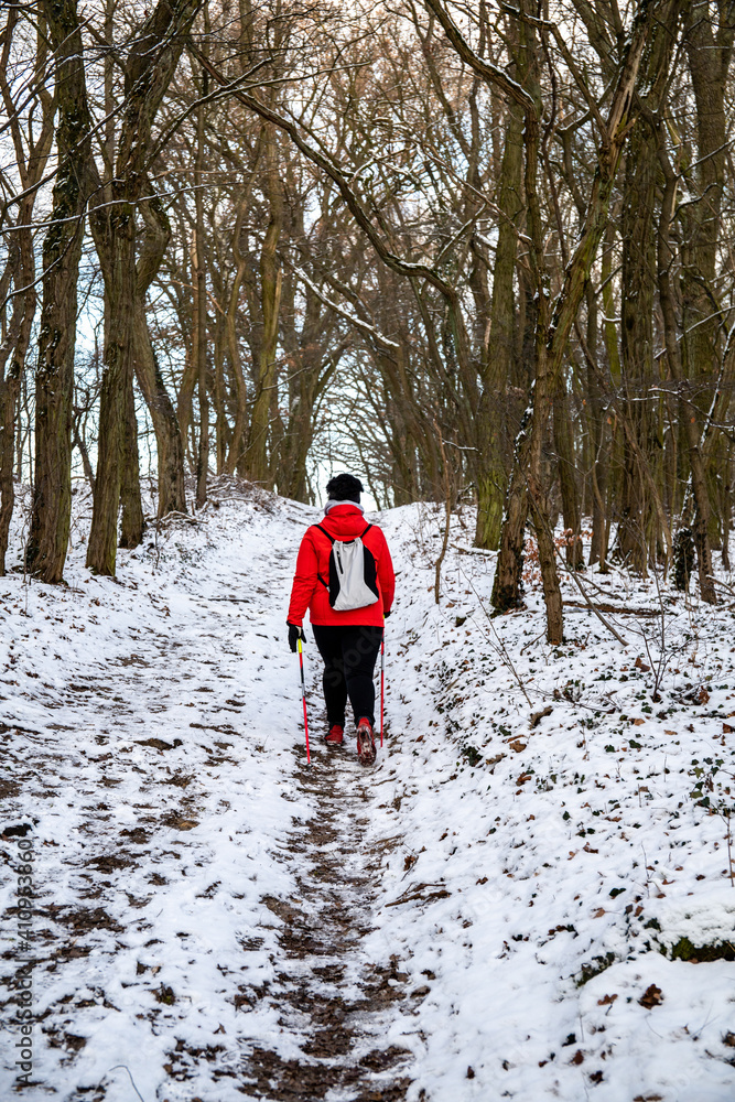 A woman in a red jacket practices Nordic walking in the woods and along the lake
