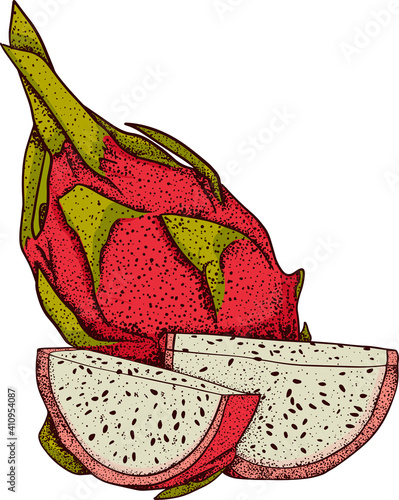 Vector hand drawn set of pitaya. Dragon fruit illustration. Delicious tropical vegetarian objects. Use for restaurant, menu, smoothie bowl, market, store, party decoration, meal