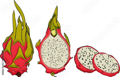 Vector hand drawn set of pitaya. Dragon fruit illustration. Delicious tropical vegetarian objects. Use for restaurant, menu, smoothie bowl, market, store, party decoration, meal