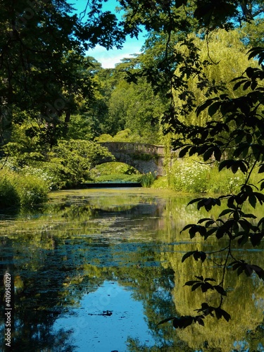 River Cerne in Dorset, England, beautiful river with bridge in the background, reflections in the water. English countryside green and springtime. A secret garden. 