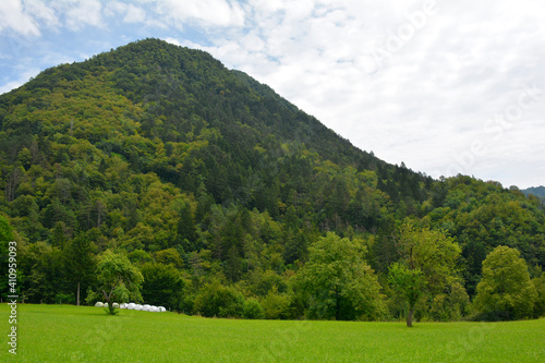 The summer landscape near the village of Zatolmin in Tolmin municipality, Primorska, Slovenia. Part of the Triglav National Park  © dragoncello