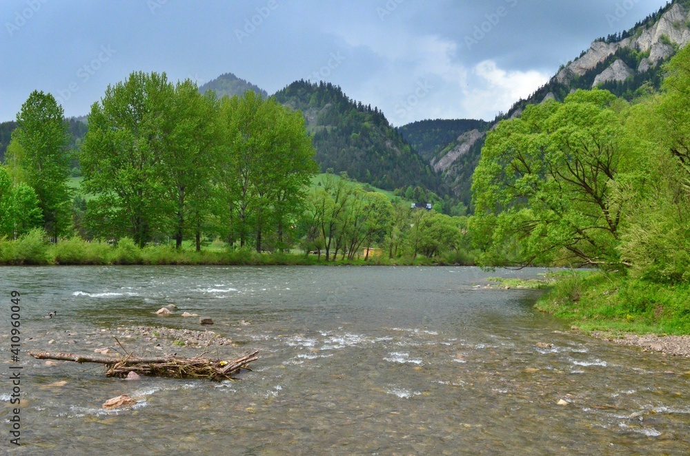 spring green trees and wide mountain river three crowns mountain Carpathian Pieniny