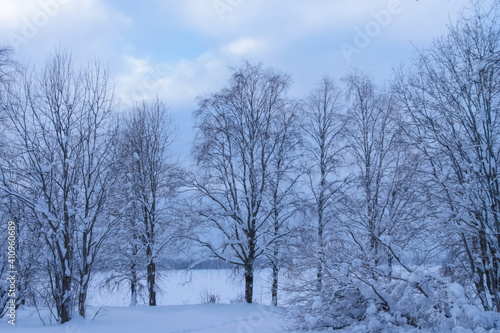 There are bare trees against a blue sky. February, 05.2021.