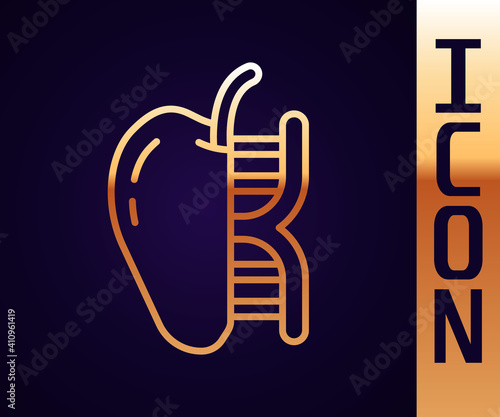 Gold line Genetically modified apple icon isolated on black background. GMO fruit. Vector.