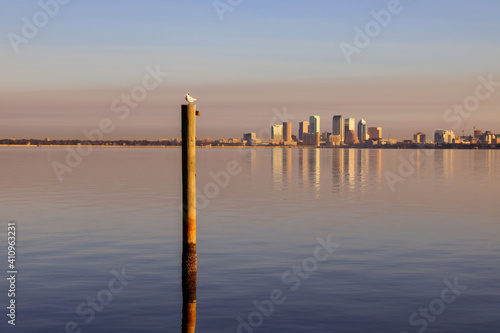 Skyscrapers in background across the bay