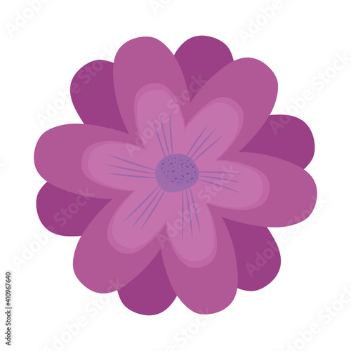 cute purple flowers nature icon vector illustration design