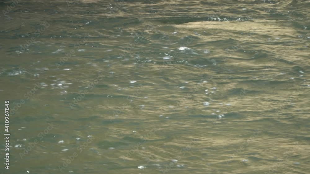 Pollution foam flow on river water surface Pollution foam flow on river water surface