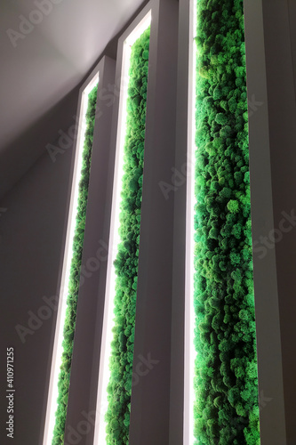 stabilized moss in modern interiors