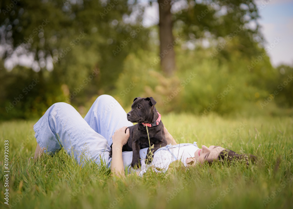 Woman in Field with Staffordshire Bull Terrier Puppy