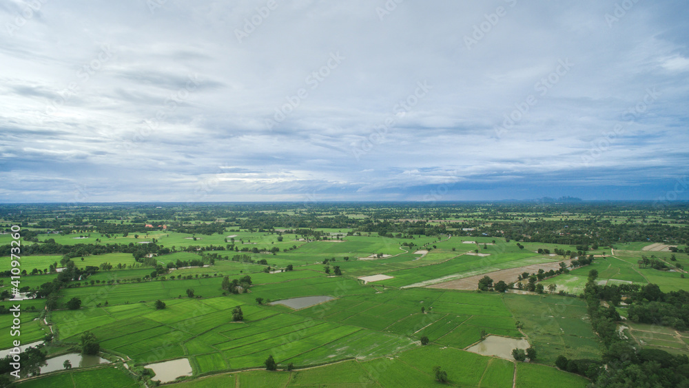 Rice field with sky top view from drone, Thailand