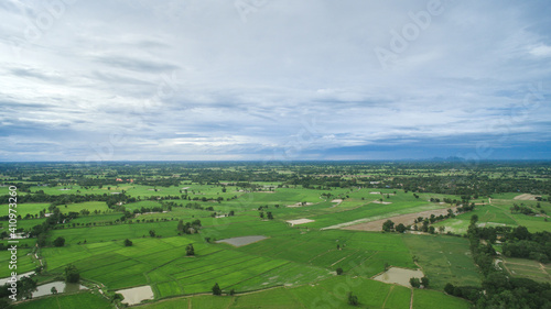 Rice field with sky top view from drone, Thailand