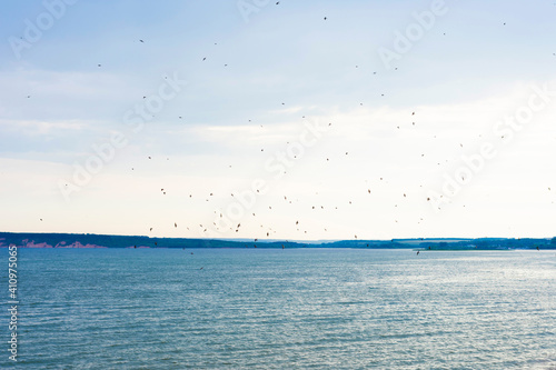 Flock of tiny birds on seascape background with clody sky. Bright blue ocean with waves backdrop photo