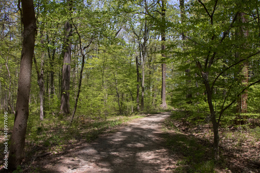 Watchung Reservation New Jersey Watchung Reservation New Jersey