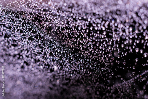 Violet colored toned backdrop made of spiderweb.Plenty ow tiny shining water droplets on wet web on dark bokeh effect background