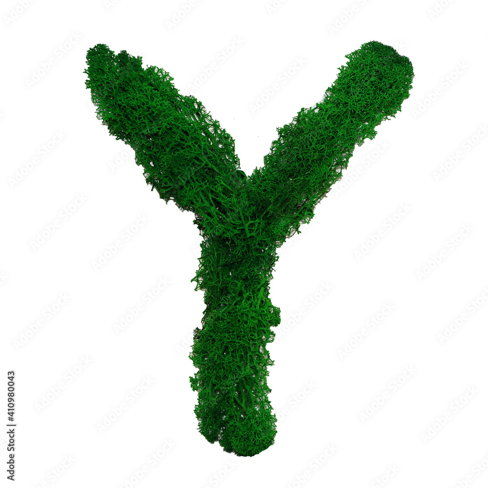 Letter Y of the English alphabet made from green stabilized moss, isolated on white background Letter Y of the English alphabet made from green stabilized moss, isolated on white background