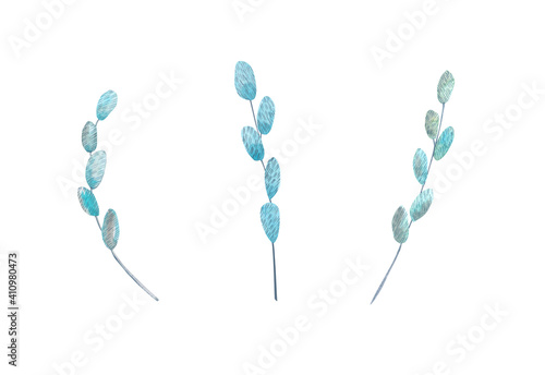 Watercolor set twigs of soft blue in delicate pastel shades isolated on a white background. Spring. Willow. Hand drawing