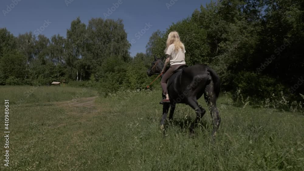 A girl rider tries to cope with a zealous black horse on a green summer meadow A girl rider tries to cope with a zealous black horse on a green summer meadow