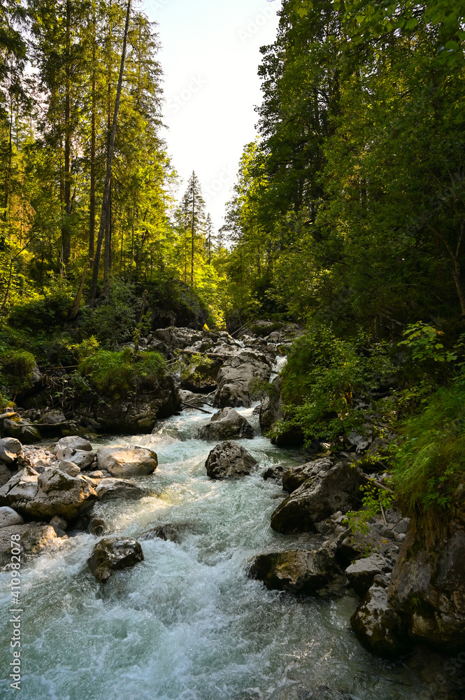 A mountain river surrounded by green forest during summer. A mountain river surrounded by green forest during summer.