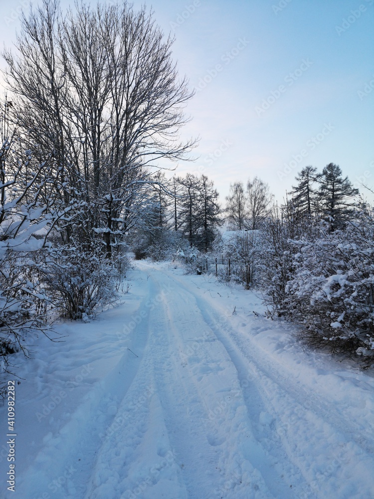 Fototapeta premium Rural landscape in winter in Russia frosty day