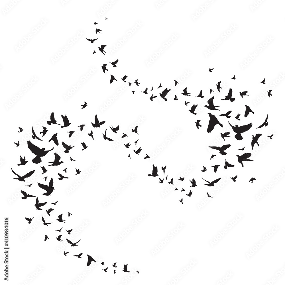 Fototapeta premium Flying birds silhouette illustration. Vector background