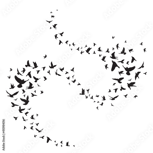 Flying birds silhouette illustration. Vector background