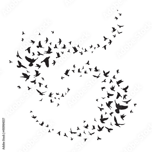 Flying birds silhouette illustration. Vector background