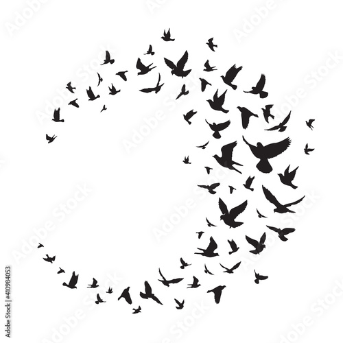 Flying birds silhouette illustration. Vector background