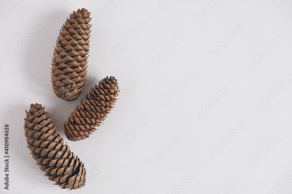 Three pine cones on a white background. Top view. Copy, empty space for text Three pine cones on a white background. Top view. Copy, empty space for text