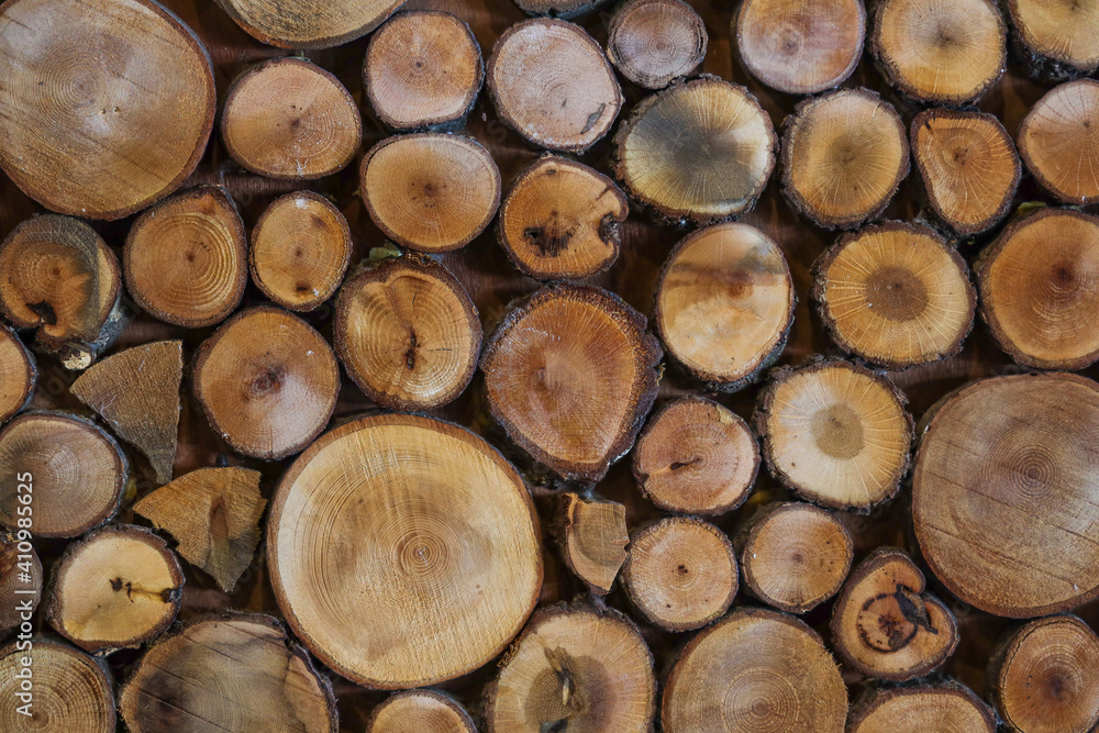 Felled tree trunks, Stack of Wood Stumps, Wooden background. Copy Space. Felled tree trunks, Stack of Wood Stumps, Wooden background. Copy Space.