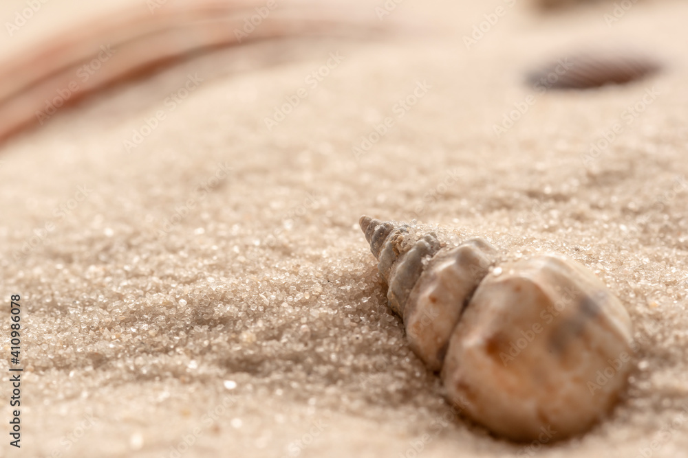 small seashell with white sand as background small seashell with white sand as background