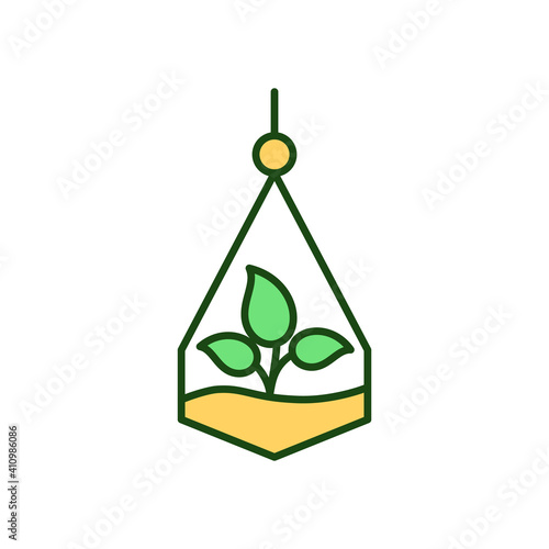 Hanging terrarium RGB color icon. Plant in jar. Succulent growing. Florarium for decor. Plant for living space. Biophilic home interior decoration. Greenery for indoors. Isolated vector illustration