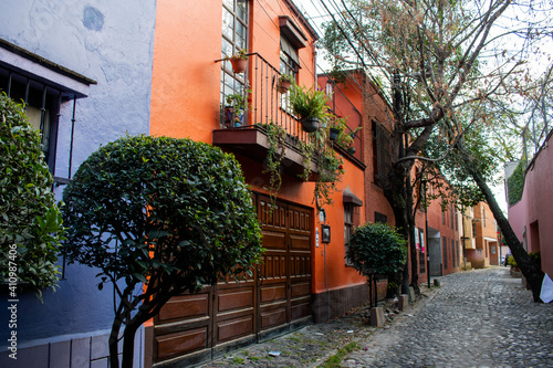 Colorful Hispanic houses and beautiful bushes in Mexico City