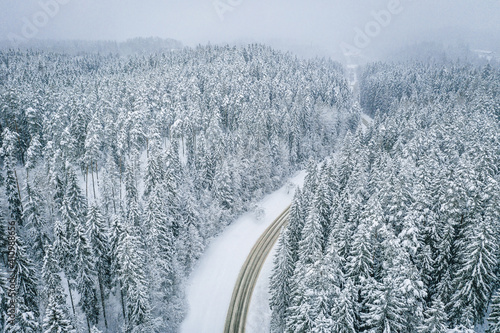 Mesmerizing aerial view of a beautiful road surrounded by snow-covered fir trees, snow storm © Aleksandrs Muiznieks