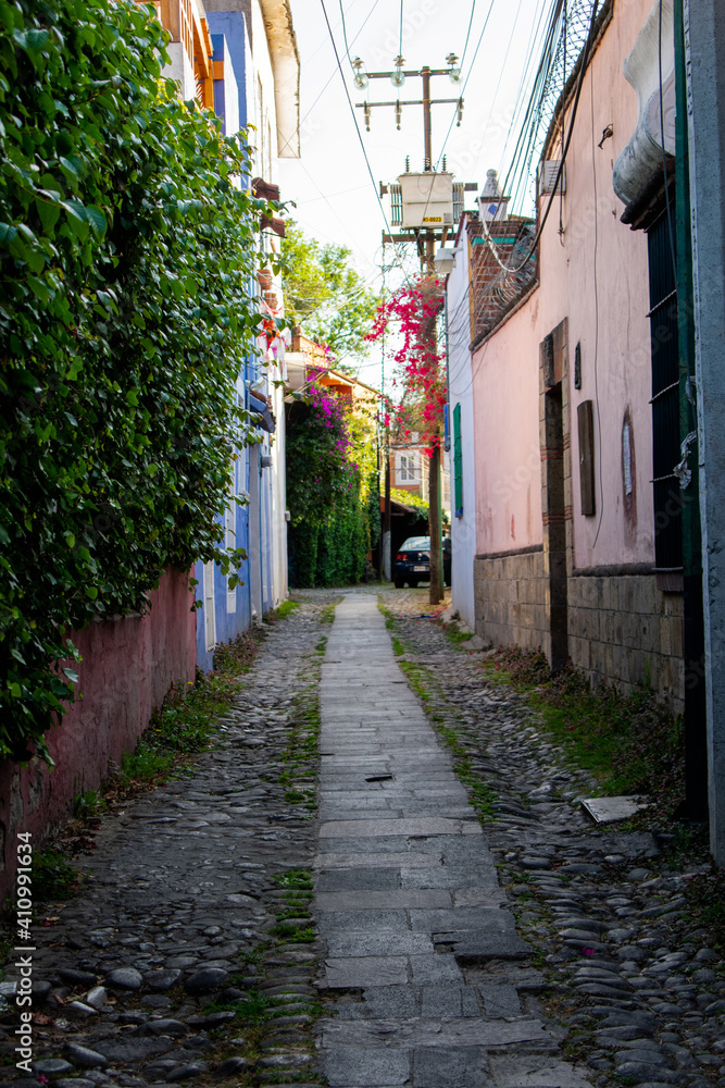 Fototapeta premium Colorful Hispanic houses and trees in alleys from Mexico City
