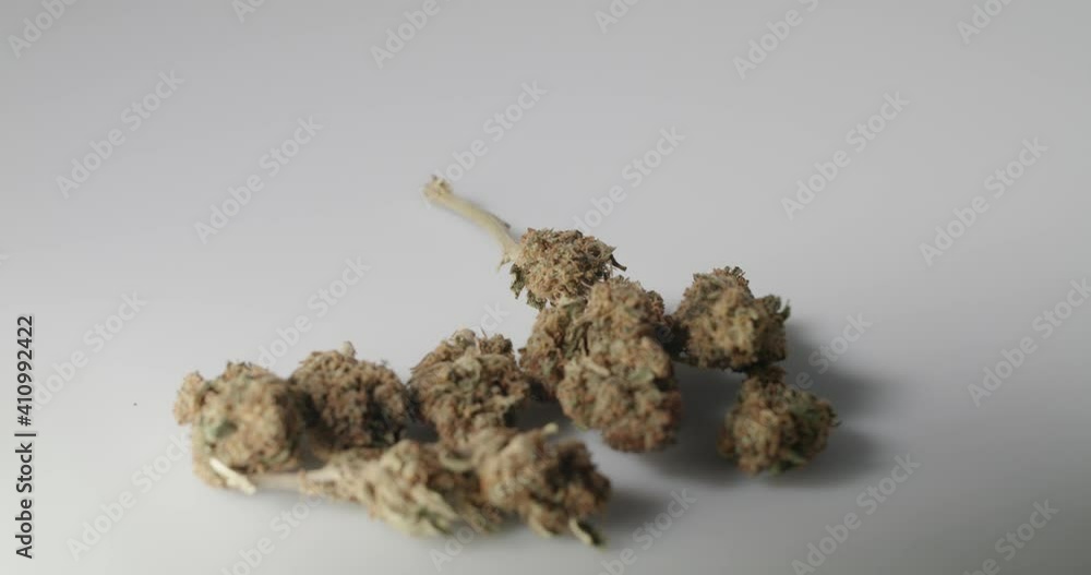 Weed Buds on White background Isolated. Hemp Flower in Blossom and dry. Weed Buds on White background Isolated. Hemp Flower in Blossom and dry.