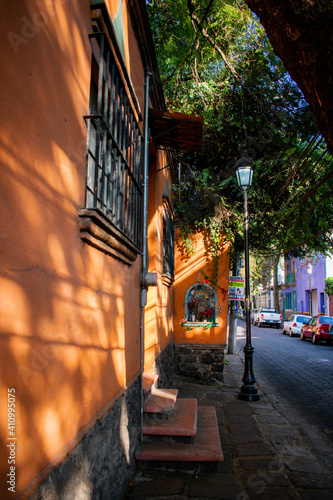 Fototapeta Naklejka Na Ścianę i Meble -  Tree outside orange house in cobbled street from Mexico City