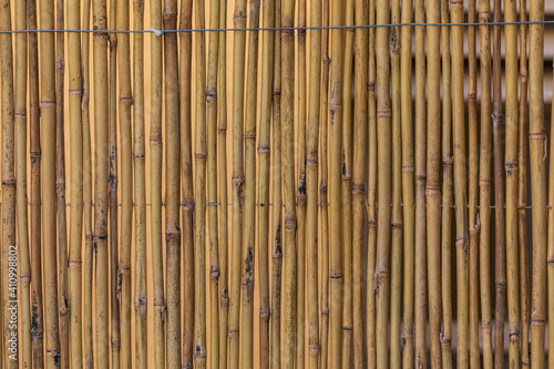 The dry bamboo background