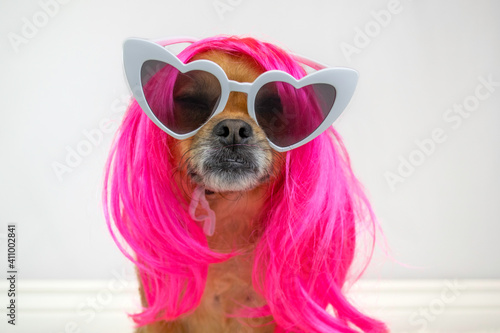 Cute dog wearing pink wig and sunglasses photo