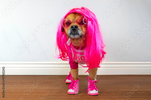 Cute dog wearing pink outfit