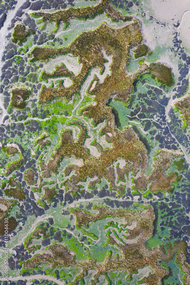 Tidal Marsh, Tidal Wetland (MARISMA), Low Tide, Marismas de Santoña, Victoria y Joyel Natural Park, Cantabria, Spain, Europe Tidal Marsh, Tidal Wetland (MARISMA), Low Tide, Marismas de Santoña, Victoria y Joyel Natural Park, Cantabria, Spain, Europe