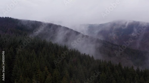 a foggy needle foreest hill landscape from above photo