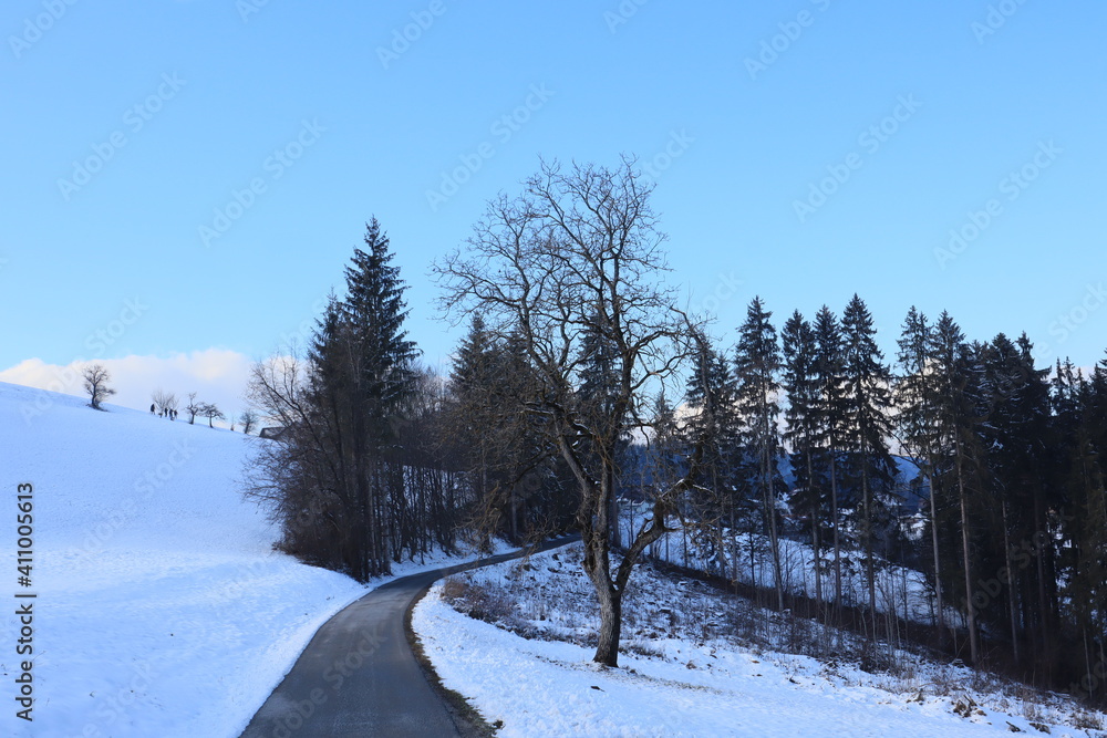 Landschaft im Winter