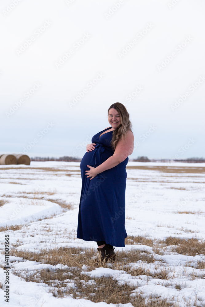 Beautiful pregnant brunette model wearing flowing dress surrounded by winter landscape Beautiful pregnant brunette model wearing flowing dress surrounded by winter landscape