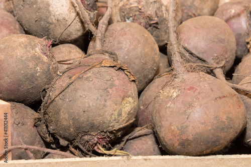 Fresh Harvested Beetroots Market Food Images