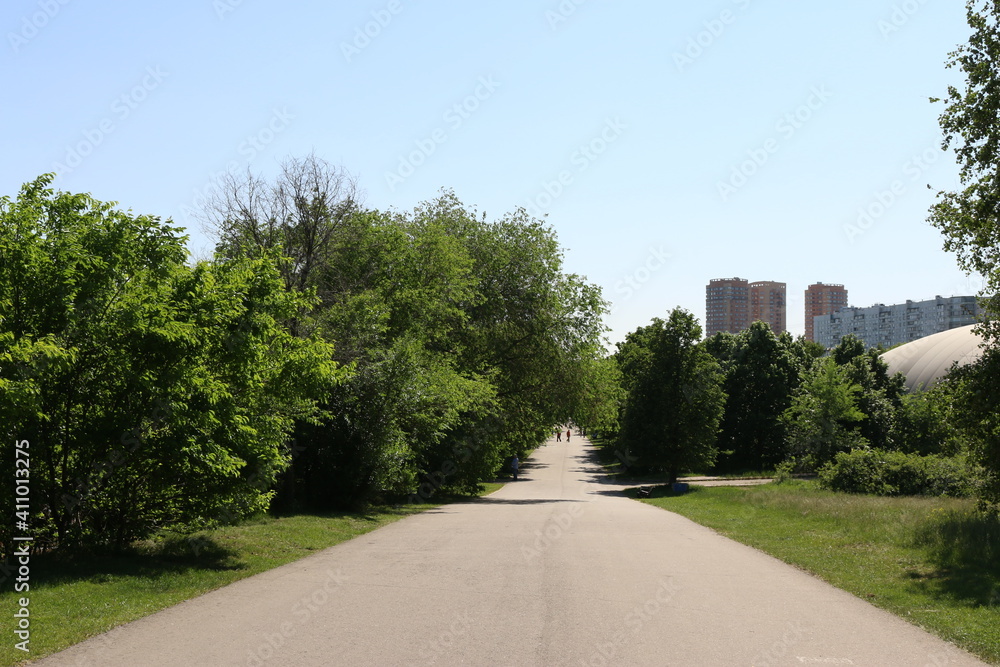 strogino city park in summer in moscow strogino city park in summer in moscow