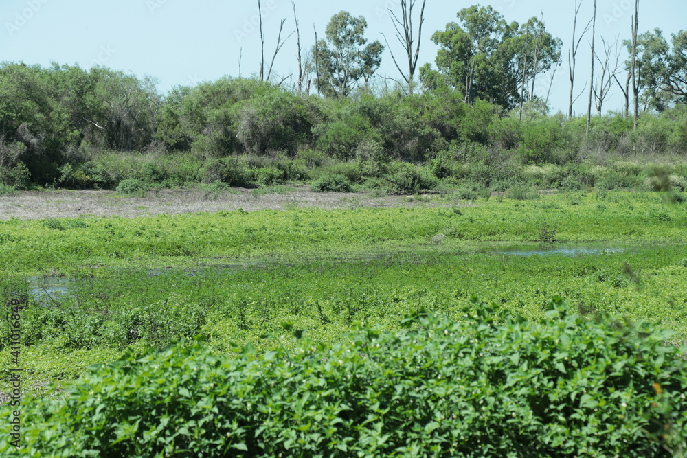 Laguna Laguna