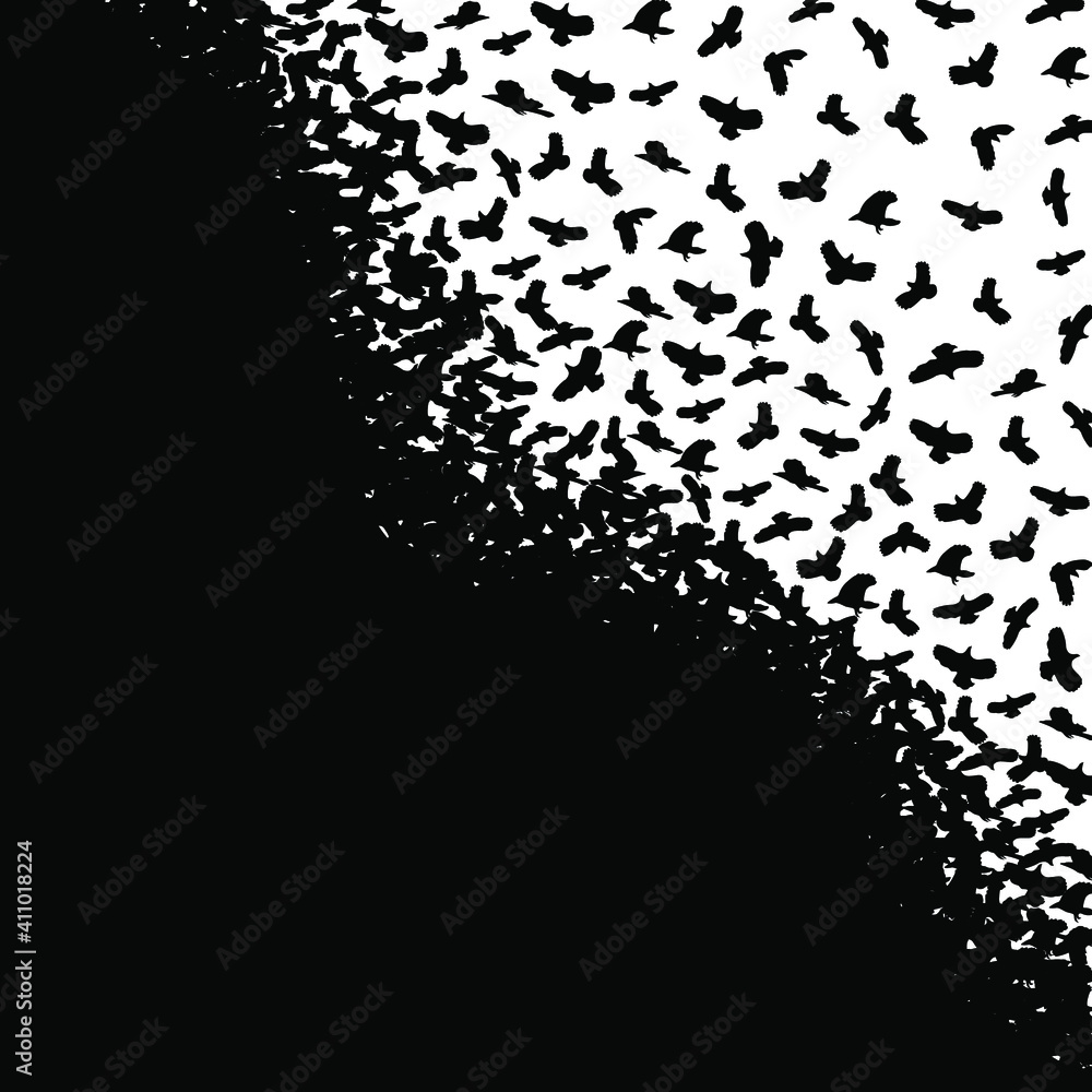 Black birds on a white background. Black and white pattern. Vector illustration. Black birds on a white background. Black and white pattern. Vector illustration.