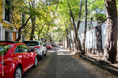 Hispanic houses and row of trees in street from Mexico City © Christian