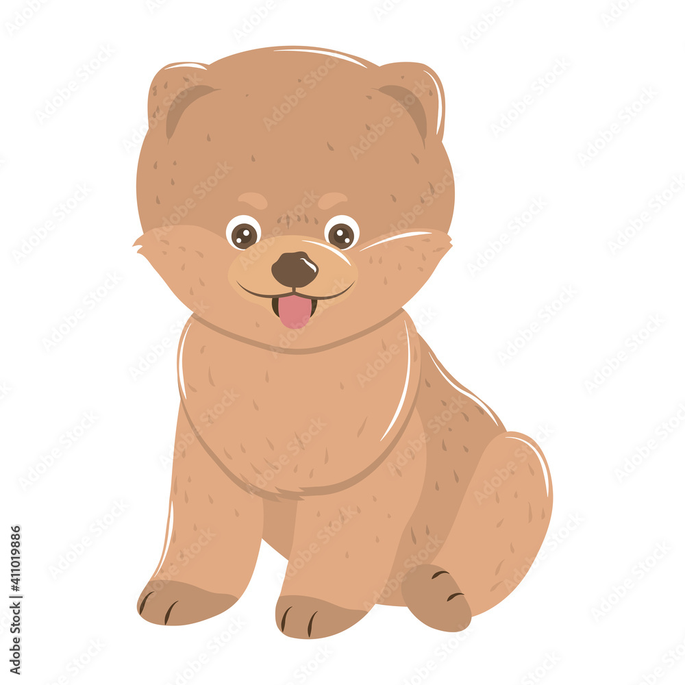 Fototapeta premium pet little dog animal sitting on white background