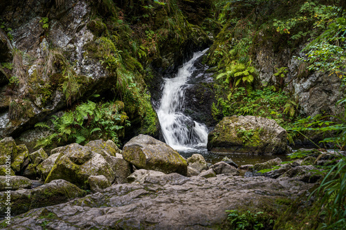 Quadro su tela Small river streaming through the mossy rocks